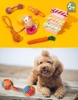 Đồ chơi cho chó vải bện thừng giúp gặm sạch răng, giảm ngứa răng