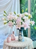 ly-kep-trang-anouska-bo-5-canh-3-4-tai