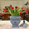 tulip-do-bo-10-bong-nguyen-cu