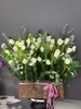 lang-40-bong-tulip-trang