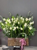 lang-40-bong-tulip-trang