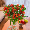 thuy-tien-du-mau-bo-10-canh