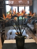 thien-dieu-da-lat-bo-10-bong
