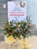 ke-tranh-sen-da