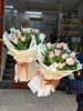 bo-hoa-tulip