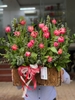 lang-hoa-tulip-kep