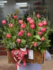 lang-hoa-tulip-kep