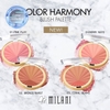 Phấn Má Hồng Milani Color Harmony Blush Palette Italia
