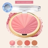 Phấn Má Hồng Milani Color Harmony Blush Palette Italia
