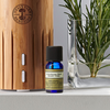 Night Time Aromatherapy Blend - Hỗn hợp tinh dầu Ban Đêm