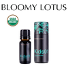 Hỗn hợp tinh dầu Tăng sự tập trung cho bé Kids01 Concentration Organic Essential Oil Blend