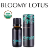 Hỗn hợp tinh dầu Xoa dịu và thư giãn cho bé Kids03 Soothe Organic Essential Oil Blend