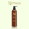 Dầu gội hữu cơ Motherland Argan & Moringa | An toàn dịu nhẹ | Giảm rụng | Kích thích mọc tóc | Kiềm dầu chống bết tóc | Dung tích 500ml