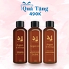 Combo 2 Dầu Gội 1 Dầu Xả Motherland Argan & Moringa | Giảm rụng | Kích thích mọc tóc | Kiềm dầu chống bết tóc từ gốc | Dung tích 1500ml