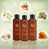 Combo dầu gội xả hấp Motherland Argan & Moringa 300ml | Chăm sóc toàn diện cho mái tóc