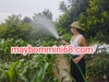 Máy bơm chân không 12v- 200/300w hút sâu 8m đẩy cao 30m