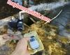 Máy bơm không chổi than 48/60/72v 1000w 15m3/h đẩy cao 25m hút sâu 9m