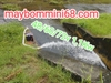 Bơm chìm không chổi than 48/60/72v 1,1Kw 40m3/h đẩy cao 25m