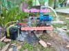 Máy bơm nước năng lượng mặt trời không chổi than 24v 350/450w 4m3/h đẩy cao 18m