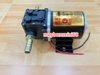 Máy bơm dầu, nước, dung dịch không ăn mòn, tưới lốp mini 12v 24v 100w mô tơ lớn
