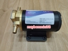 Máy bơm bánh răng đồng thau 24v 12LPM bơmdầu nhớt dung dịch đặc