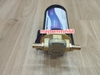 Máy bơm bánh răng đồng thau 24v 12LPM bơmdầu nhớt dung dịch đặc