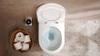 Bồn cầu 1 khối Hansgrohe 22466007 ( nắp đóng êm 22468007 )