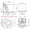 Bồn Cầu American Standard 3229E-WT Đặt Sàn Nắp WP-C119