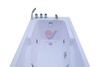 Bồn tắm massage Amazon TP-8069