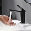 Vòi lavabo nóng lạnh màu đen DL-8020B
