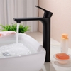 Vòi lavabo nóng lạnh màu đen DL-8023B