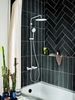 Sen tắm cây nhiệt độ  Moen 58400 + 2380 + M22081