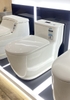 Bồn cầu một khối Kolni A2076
