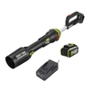 Máy thổi bụi 3 cấp độ dùng pin 20V Worx WD585.15.2B (1 pin 5Ah, 1 sạc 2Ah)