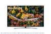 Smart Tivi LG 4K 75 inch 75UP7800PTB ThinQ AI Mới 2021