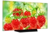 Smart Tivi OLED LG 4K 55 inch 65CXPTA