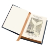 herman-melville-s-moby-dick-deluxe-illustrated-edition