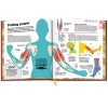 how-the-body-works