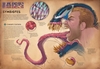 marvel-anatomy-a-scientific-study-of-the-superhuman