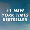 family-of-liars-book-2-of-2-we-were-liars-us