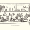 lives-of-the-twelve-caesars