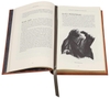 an-encyclopedia-of-tolkien-the-history-and-mythology-that-inspired-tolkien-s-wor