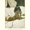 jack-london-s-the-call-of-the-wild