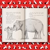 evie-and-the-animals-us