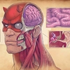 marvel-anatomy-a-scientific-study-of-the-superhuman
