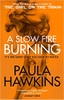 a-slow-fire-burning-us