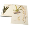 plants-of-the-americas-limited-edition
