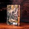 the-fellowship-of-the-ring-book-1-of-3-the-lord-of-the-rings