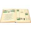 the-story-of-babar