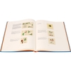 the-story-of-babar